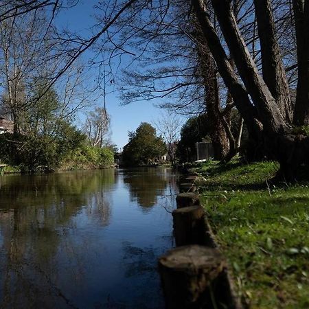Surrey Hills Escape: Riverside Walks & Quick Links Godalming Exterior photo